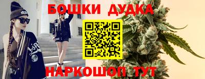 Альфа ПВП Гусиноозёрск