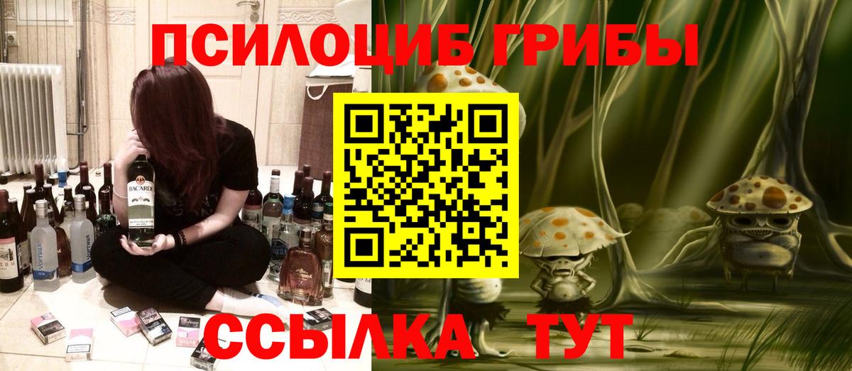 Галлюциногенные грибы мицелий  Вход с VPN  Назрань  Псилоцибиновые грибы Psilocybine cubensis 
