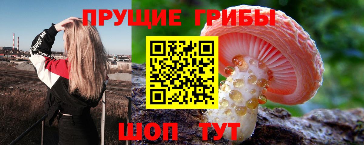 Псилоцибиновые грибы Magic Shrooms Назрань